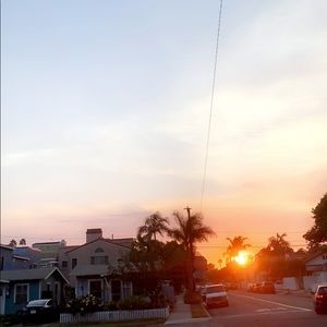 Meet your Posher, Ella